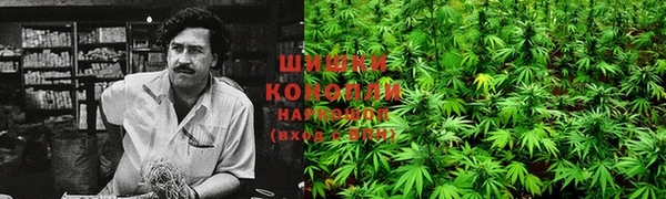 амф Белокуриха